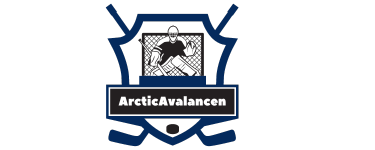 arcticavalancen.com